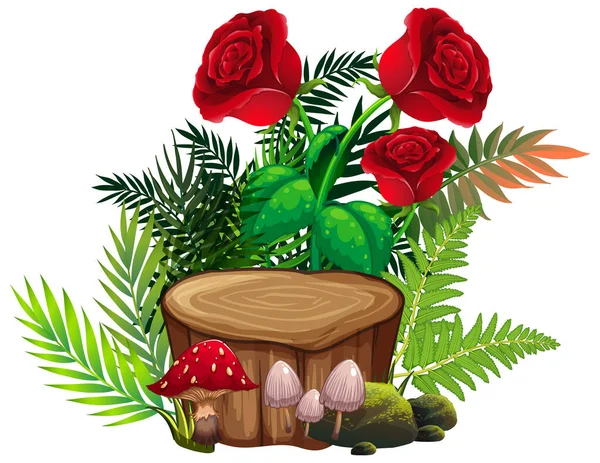 Red roses and ferns on white background — Stock Vector