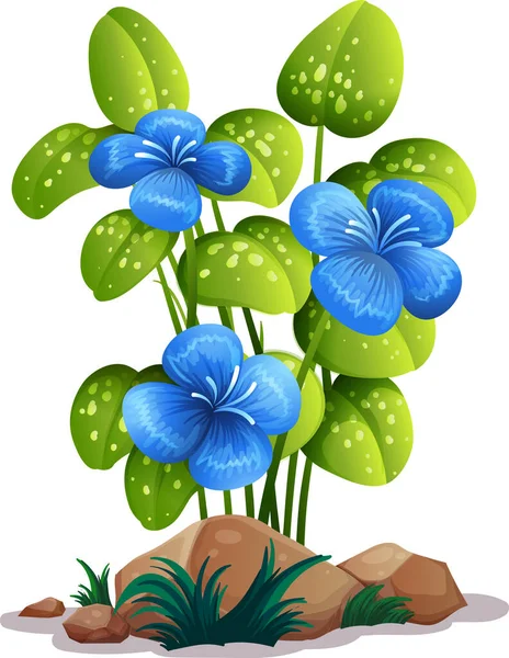 Flores azuis com folhas no fundo branco — Vetor de Stock