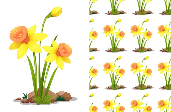 Nahtlose Hintergrundgestaltung mit Narzissenblumen und Steinen — Stockvektor
