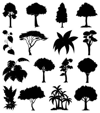 Bitki ve ağaç silueti çizimi