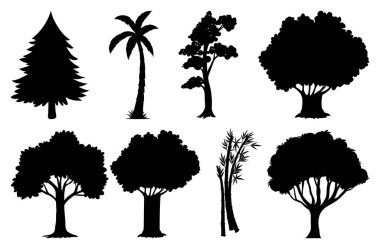 Bitki ve ağaç silueti çizimi