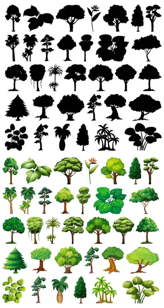 Ensemble Plantes Arbres Avec Son Illustration Silhouette — Image vectorielle