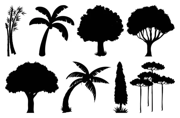 Conjunto Planta Árvore Silhueta Ilustração — Vetor de Stock
