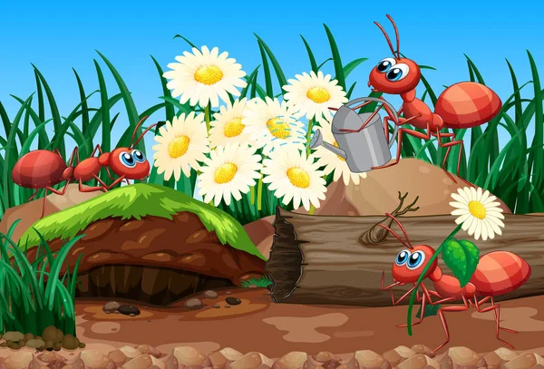 Scène Avec Des Plantes Des Insectes Dans Jardin Illustration — Image vectorielle
