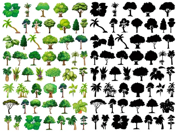 Set Plant Tree Its Silhouette Illustration — Stock Vector