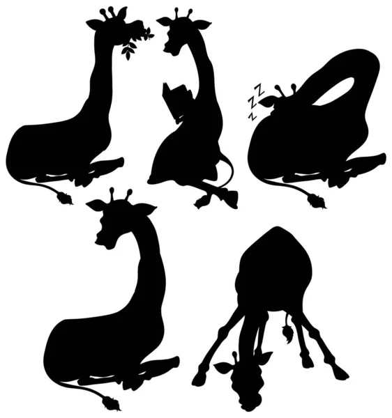 Sada Siluet Žirafy Ilustrace — Stockový vektor