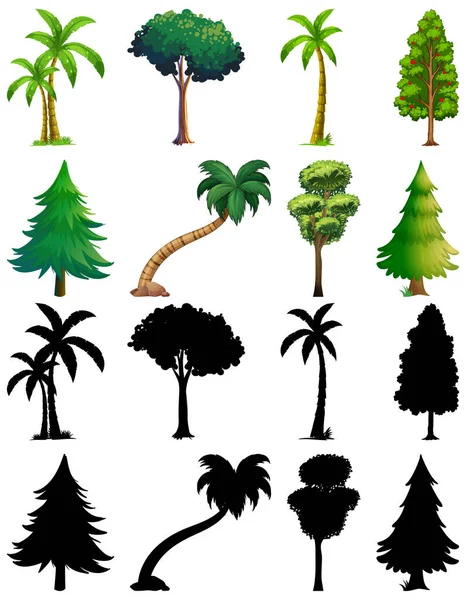 Ensemble Plantes Arbres Avec Son Illustration Silhouette — Image vectorielle