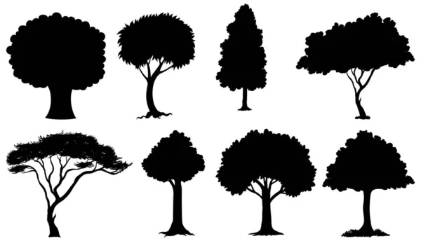 植物や木のシルエットのイラストのセット — ストックベクタ