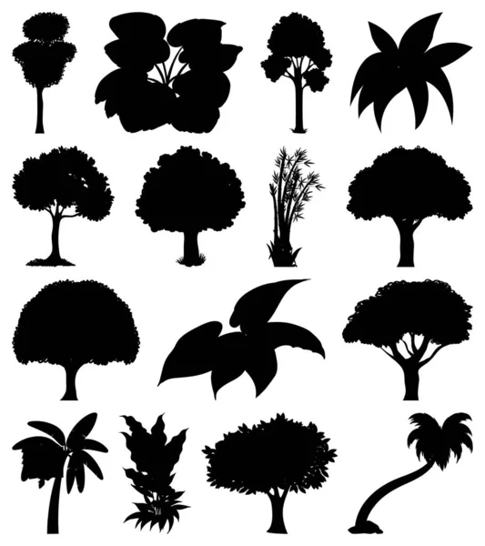 Conjunto Planta Silueta Árbol Ilustración — Archivo Imágenes Vectoriales