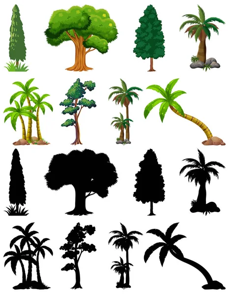 Set Piante Alberi Con Sua Illustrazione Silhouette — Vettoriale Stock