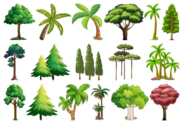 Illustration Ensemble Plantes Arbres — Image vectorielle