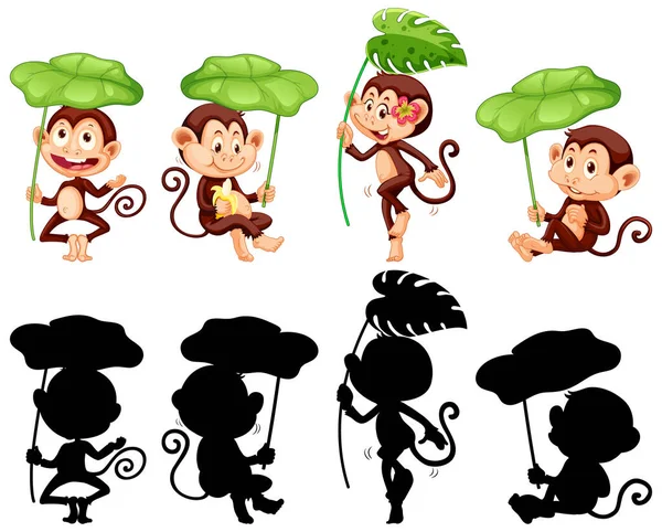 Conjunto Macaco Segurando Folha Sua Silhueta Ilustração — Vetor de Stock