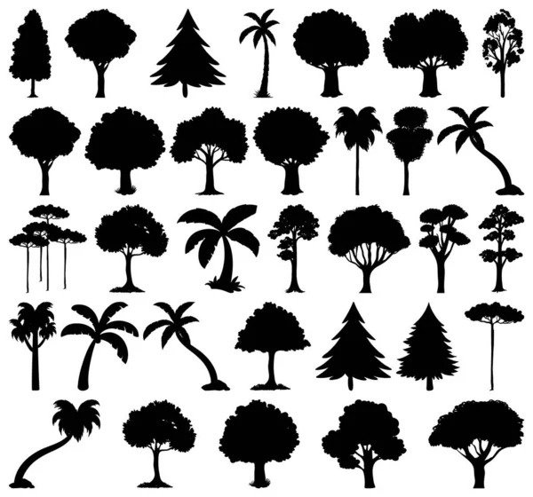 Zestaw Roślinnych Drzewnych Ilustracji Sylwetki — Wektor stockowy