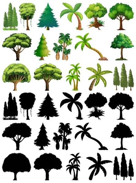 Ensemble Plantes Arbres Avec Son Illustration Silhouette — Image vectorielle