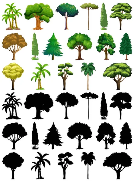 Sada Rostlin Stromů Svou Siluetou — Stockový vektor