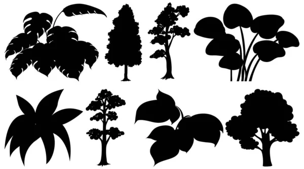 Uppsättning Växt Och Träd Siluett Illustration — Stock vektor