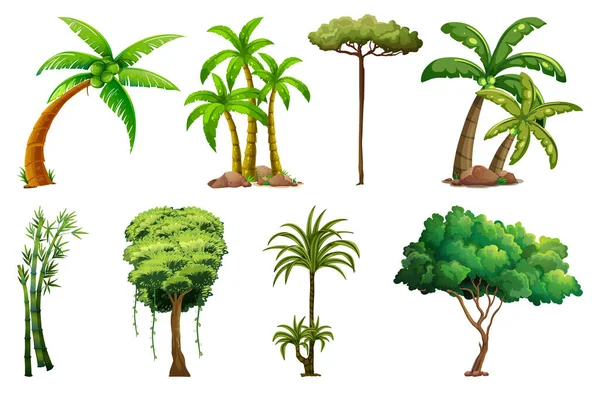 Set Variety Plants Trees Illustration — Stock Vector