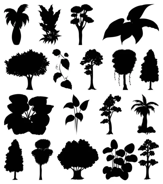 식물과 실루엣 삽화의 — 스톡 벡터