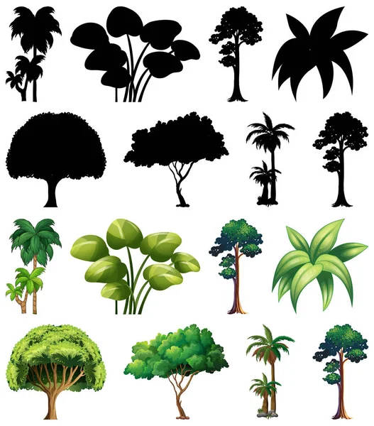 Növény Fahalmaz Sziluett Illusztrációval — Stock Vector