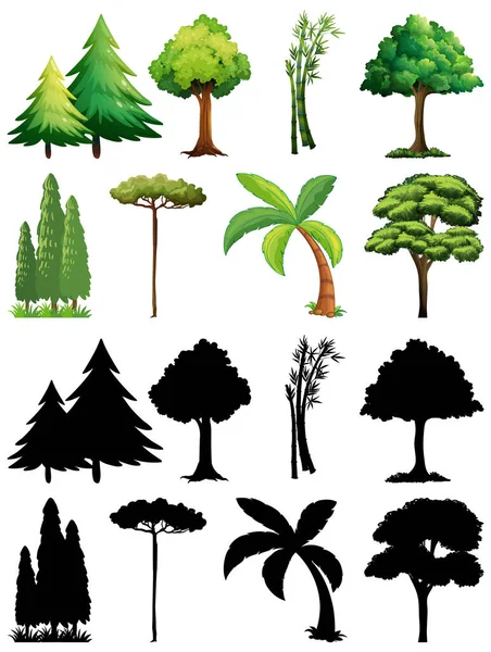 一套植物和树木及其轮廓图解 — 图库矢量图片