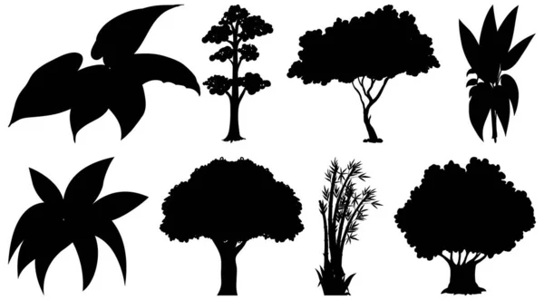 Set Plant Tree Silhouette Illustration — Stock Vector