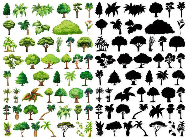 Uppsättning Växt Och Träd Med Sin Siluett Illustration — Stock vektor