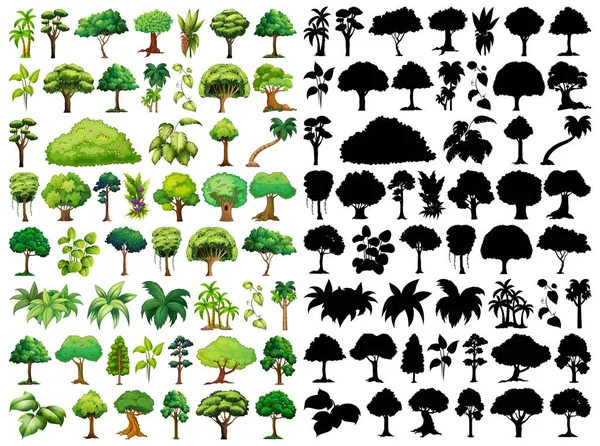 Set Plant Tree Its Silhouette Illustration — Stock Vector