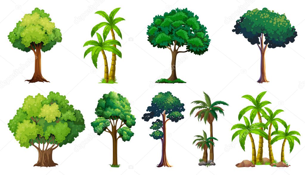 Set of variety plants and trees illustration