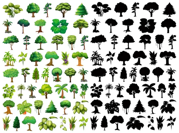Set Planten Bomen Met Silhouet Illustratie — Stockvector