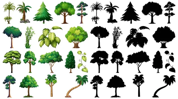 一套植物和树木及其轮廓图解 — 图库矢量图片