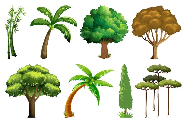 Illustration Ensemble Plantes Arbres — Image vectorielle