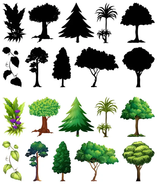 Conjunto Planta Árbol Con Silueta Ilustración — Vector de stock