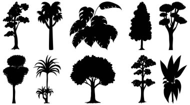 Bitki ve ağaç silueti çizimi
