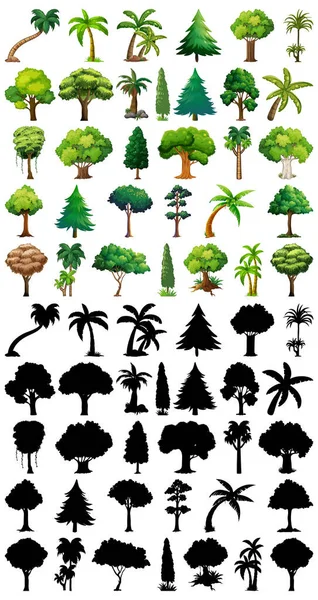 一套植物和树木及其轮廓图解 — 图库矢量图片