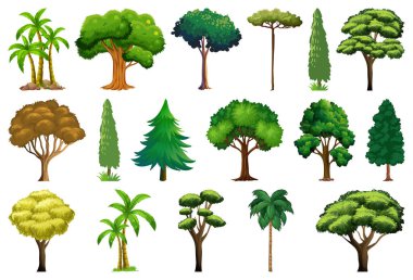 Set of variety plants and trees illustration clipart