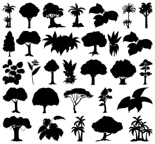 Set Van Planten Bomen Silhouet Illustratie — Stockvector