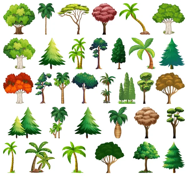 様々な植物や木のイラストのセット — ストックベクタ