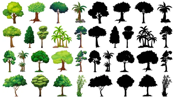 Набор Растений Деревьев Иллюстрацией Силуэта — стоковый вектор
