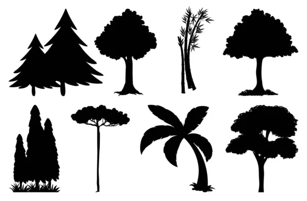 植物や木のシルエットのイラストのセット — ストックベクタ
