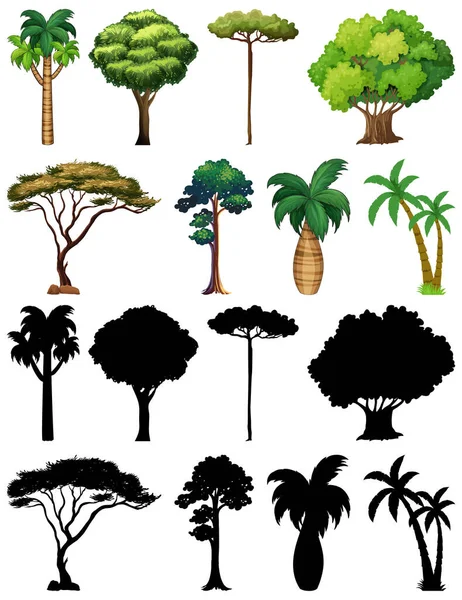 一套植物和树木及其轮廓图解 — 图库矢量图片