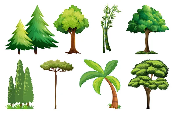 Σύνολο Διαφορετικών Εικονογραφήσεων Δέντρων — Διανυσματικό Αρχείο