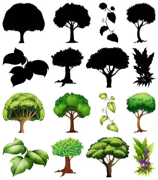 Conjunto Planta Árbol Con Silueta Ilustración — Vector de stock