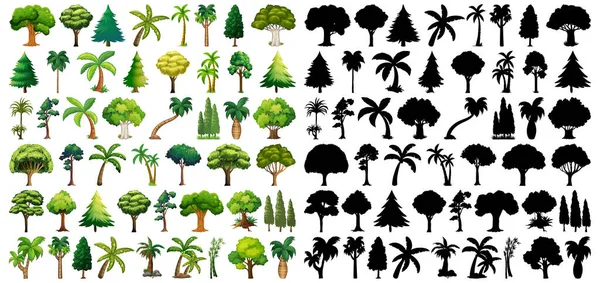 Set Aus Pflanze Und Baum Mit Silhouetten Illustration — Stockvektor