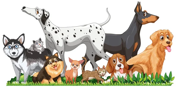 Carino Diversi Cani Gruppo Isolato Illustrazione — Vettoriale Stock