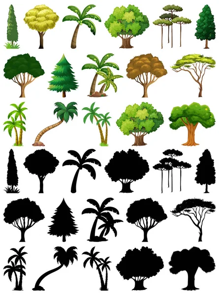 一套植物和树木及其轮廓图解 — 图库矢量图片