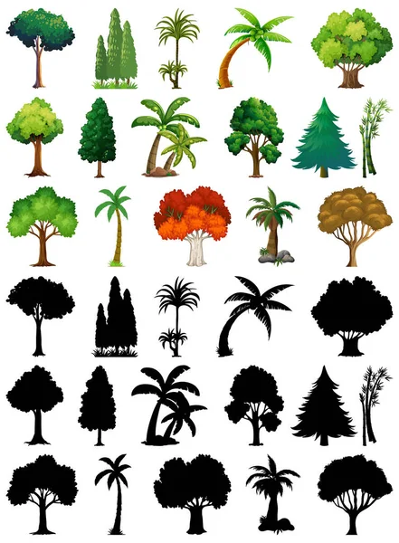 Set Planten Bomen Met Silhouet Illustratie — Stockvector