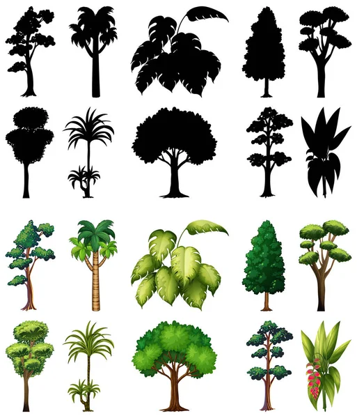 一套植物和树木及其轮廓图解 — 图库矢量图片