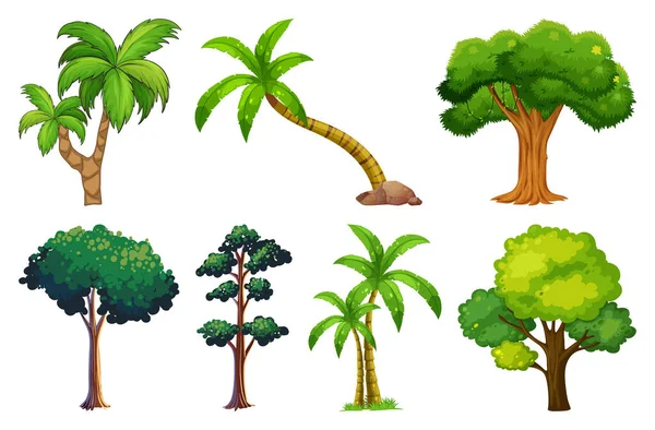 Set Variety Plants Trees Illustration — Stock Vector