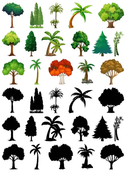 Σύνολο Φυτών Και Δέντρων Την Εικόνα Σιλουέτας Του Διάνυσμα Αρχείου