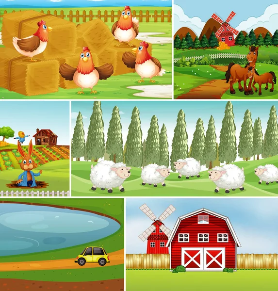 Set Different Farm Scenes Animal Farm Cartoon Style Illustration — Stock Vector